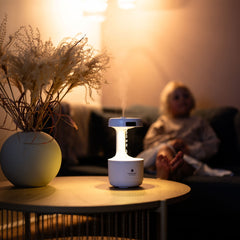 Collection image for: Restlager