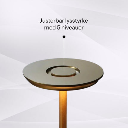 SmartLight - Touch bordlampe