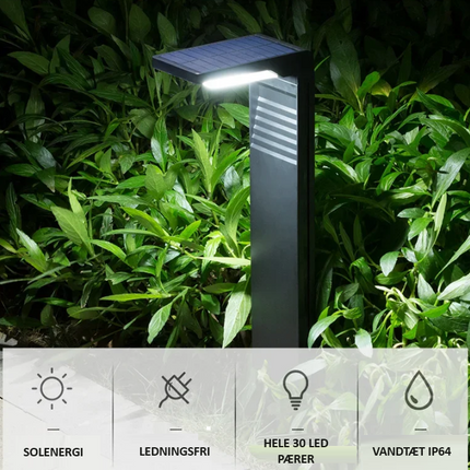 Solcelle havelamper på spyd, IP64 | 4000K - 2 stk.